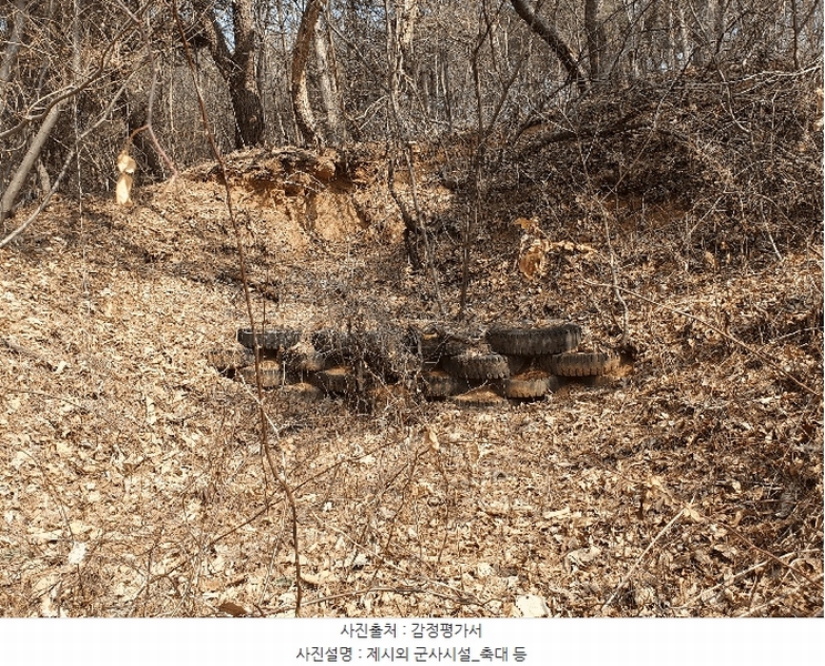 2025타경62450 경기도 파주시 파주읍 향양리 산25-2 임야 경매 이미지
