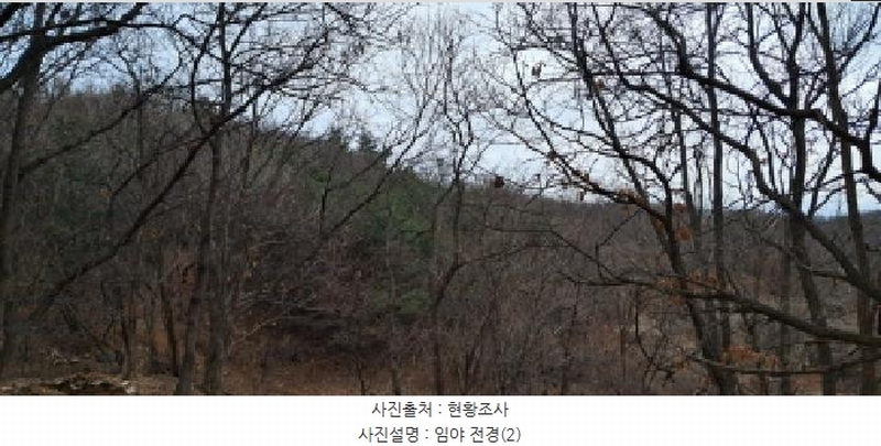 2025타경62450 경기도 파주시 파주읍 향양리 산25-2 임야 경매 이미지
