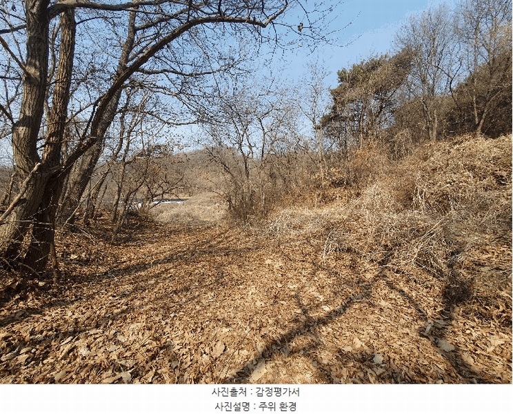 2025타경62450 경기도 파주시 파주읍 향양리 산25-2 임야 경매 이미지