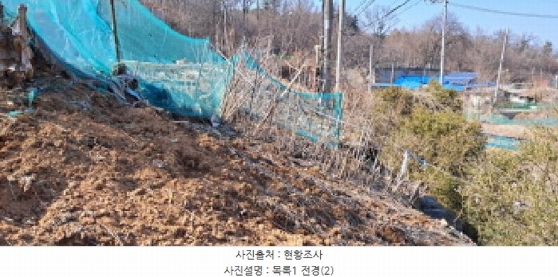 2025타경62517 경기도 파주시 파주읍 봉서리 262-2 도로 경매 이미지
