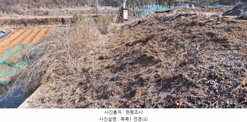 2025타경62517 경기도 파주시 파주읍 봉서리 262-2 도로 경매 이미지