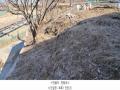 2025타경62517 경기도 파주시 파주읍 봉서리 262-2 도로 경매 이미지
