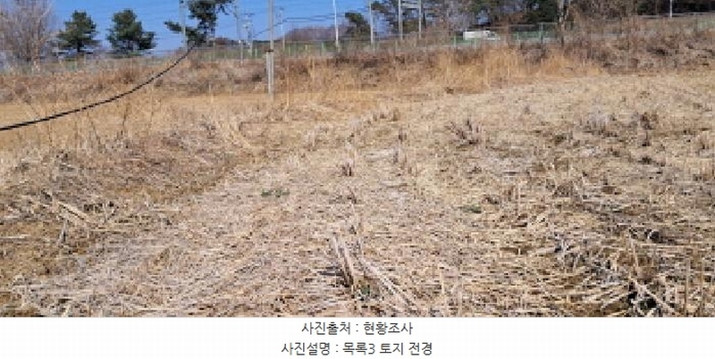 2025타경62519 경기도 파주시 파주읍 봉암리 1013-1 농지 경매 이미지