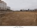 2025타경62519 경기도 파주시 파주읍 봉암리 1013-1 농지 경매 이미지