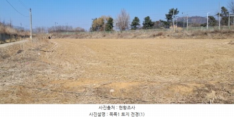2025타경62519 경기도 파주시 파주읍 봉암리 1013-1 농지 경매 이미지