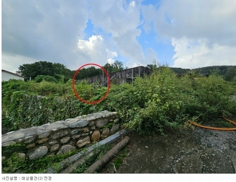 2023타경73105 경기도 고양시 일산동구 사리현동 393-4 과수원 경매 이미지