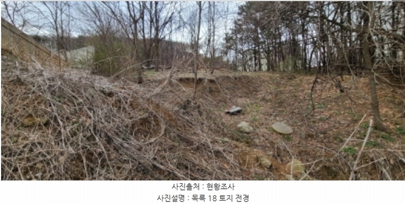 2024타경65606 경기도 파주시 야당동 91-25 임야 경매 이미지