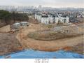 2024타경65606 경기도 파주시 야당동 91-25 임야 경매 이미지