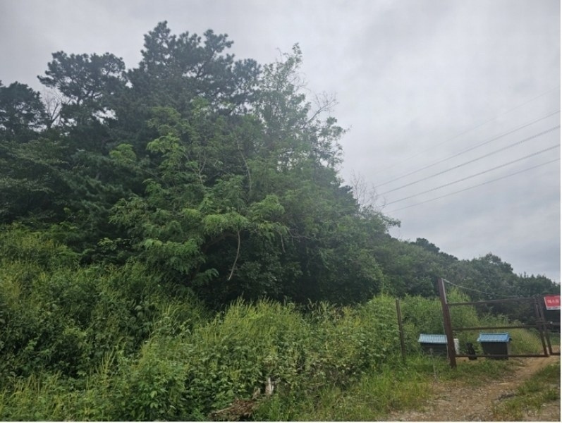 2024타경76453 경기도 고양시 덕양구 주교동 산61-2 임야 경매 이미지