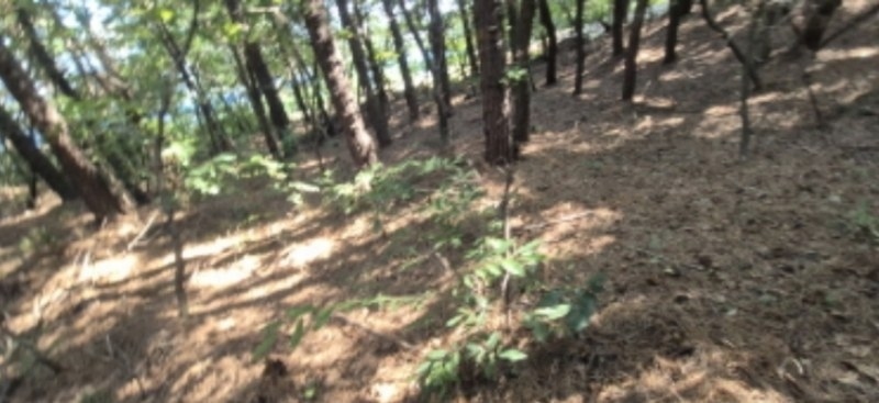 2024타경76453 경기도 고양시 덕양구 주교동 산61-2 임야 경매 이미지