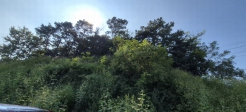 2024타경76453 경기도 고양시 덕양구 주교동 산61-2 임야 경매 이미지