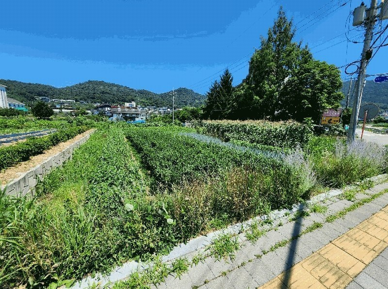 2025타경1647 충청북도 충주시 연수동 299-20 농지 경매 이미지