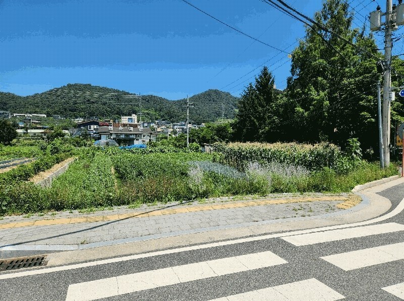 2025타경1647 충청북도 충주시 연수동 299-20 농지 경매 이미지
