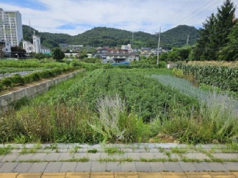 2025타경1647 충청북도 충주시 연수동 299-20 농지 경매 이미지