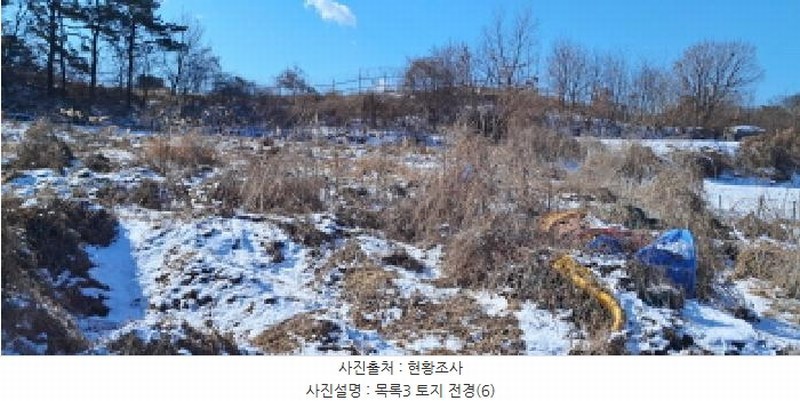 2025타경61045 경기도 파주시 파주읍 향양리 175 농지 경매 이미지