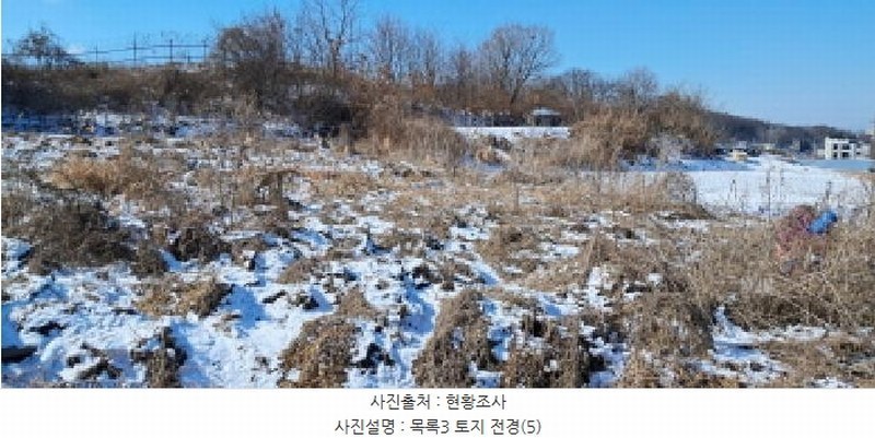 2025타경61045 경기도 파주시 파주읍 향양리 175 농지 경매 이미지