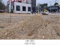 2025타경62696 경기도 고양시 일산동구 사리현동 514-4 농지 경매 이미지