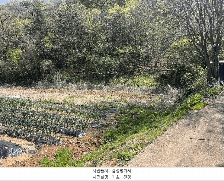 2025타경1807 경기도 파주시 탄현면 오금리 125-2 대지 경매 이미지