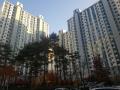 2025타경2459 경기도 고양시 일산서구 고양대로 633, 산동양아파트 107동 3층 301호 아파트[공급33평형] 경매 이미지