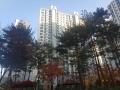 2025타경2459 경기도 고양시 일산서구 고양대로 633, 산동양아파트 107동 3층 301호 아파트[공급33평형] 경매 이미지