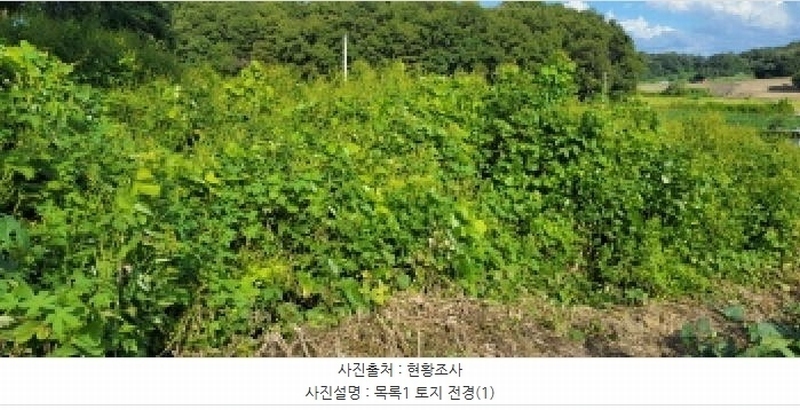 2025타경4707 경기도 파주시 적성면 장좌리 345 농지 경매 이미지