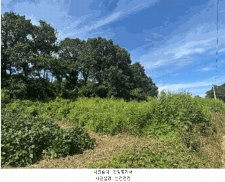 2025타경4707 경기도 파주시 적성면 장좌리 345 농지 경매 이미지