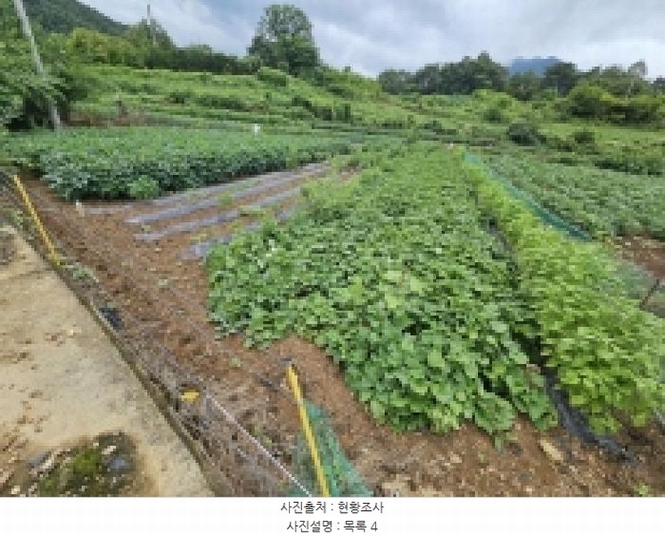 2025타경5403 충청북도 단양군 대강면 두음리 301-7 농지 경매 이미지