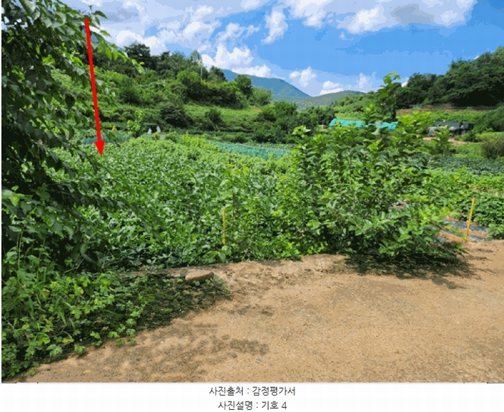 2025타경5403 충청북도 단양군 대강면 두음리 301-7 농지 경매 이미지