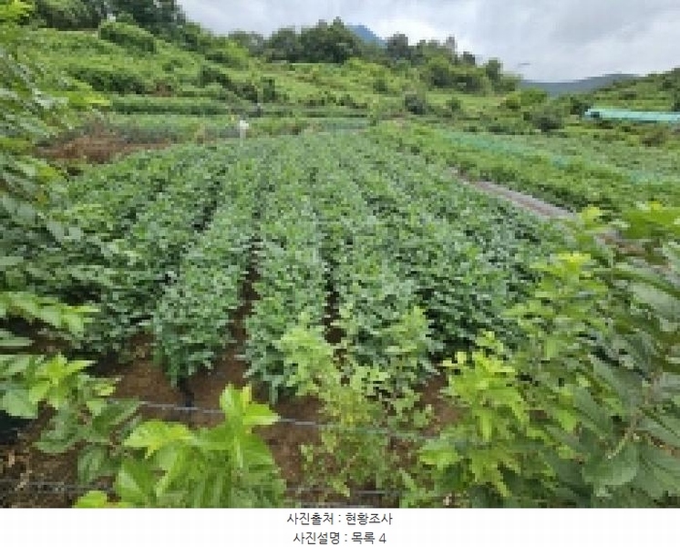 2025타경5403 충청북도 단양군 대강면 두음리 301-7 농지 경매 이미지
