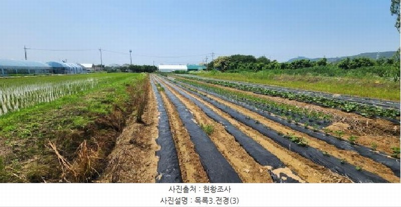 2025타경63174 경기도 고양시 일산서구 가좌동 923-1 농지 경매 이미지