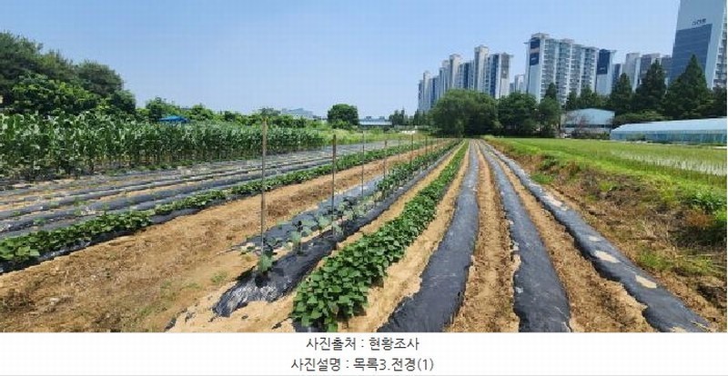 2025타경63174 경기도 고양시 일산서구 가좌동 923-1 농지 경매 이미지