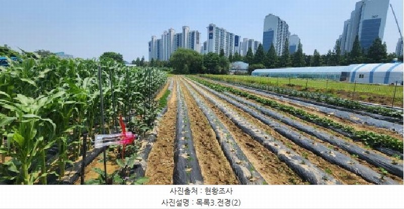 2025타경63174 경기도 고양시 일산서구 가좌동 923-1 농지 경매 이미지