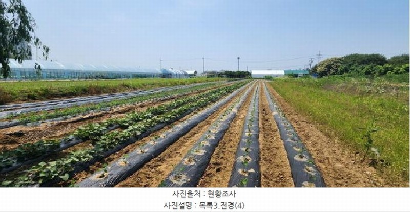 2025타경63174 경기도 고양시 일산서구 가좌동 923-1 농지 경매 이미지