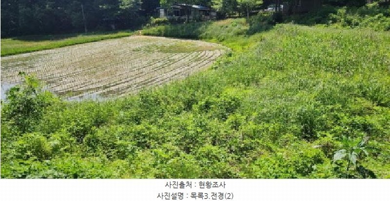 2025타경63211 경기도 파주시 문산읍 선유리 857 농지 경매 이미지