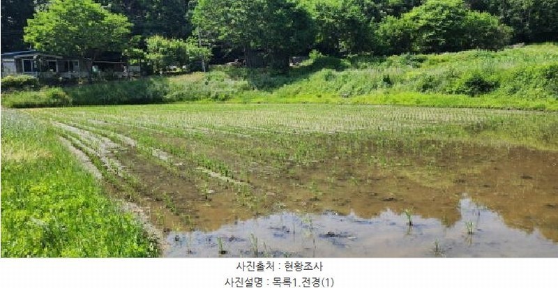 2025타경63211 경기도 파주시 문산읍 선유리 857 농지 경매 이미지