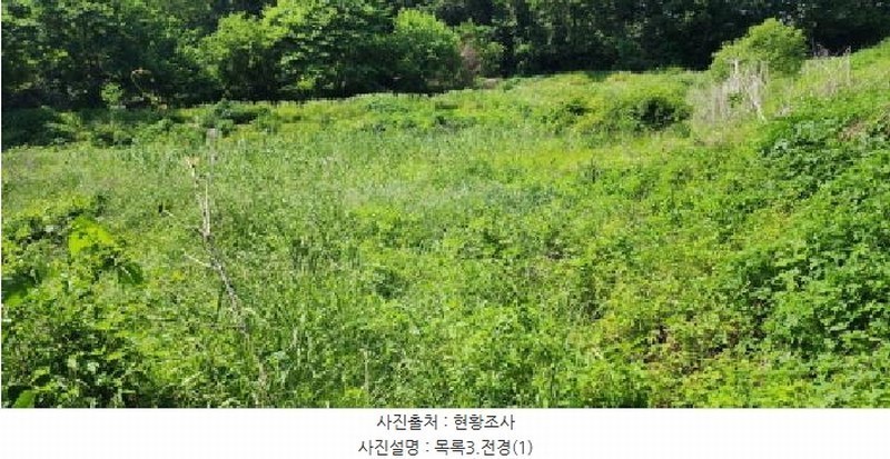 2025타경63211 경기도 파주시 문산읍 선유리 857 농지 경매 이미지