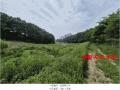 2025타경63211 경기도 파주시 문산읍 선유리 857 농지 경매 이미지