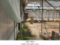 2025타경63271 경기도 고양시 일산서구 구산동 1739-1 농가관련시설 경매 이미지