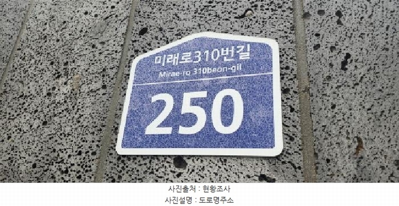 2025타경63317 경기도 파주시 미래로310번길 250, 노블타운 106동 지1층 비01호 다세대(빌라) 경매 이미지