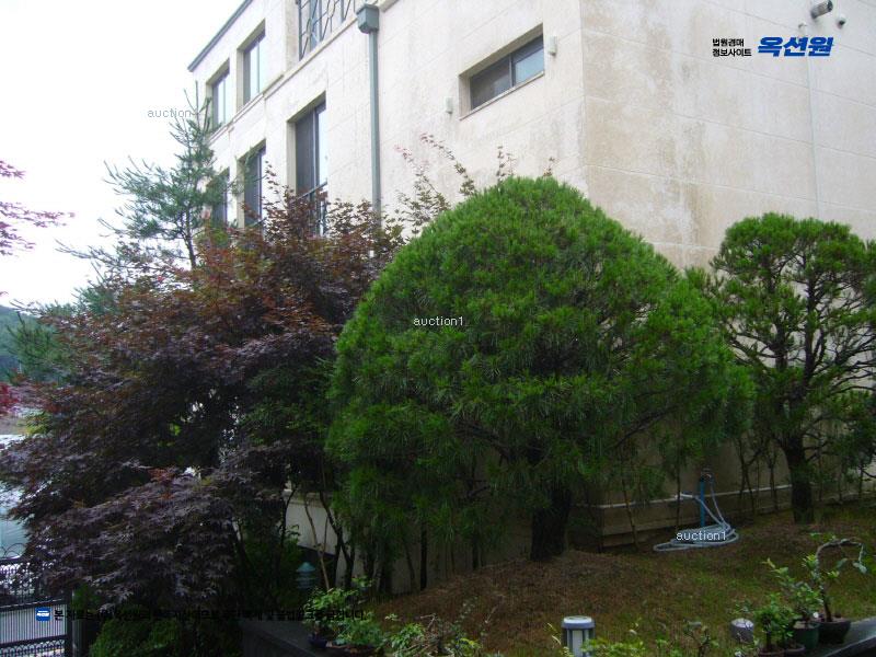 2025타경103494 서울특별시 서초구 염곡동 133-1 다세대(빌라)[공급83평형] 경매 이미지