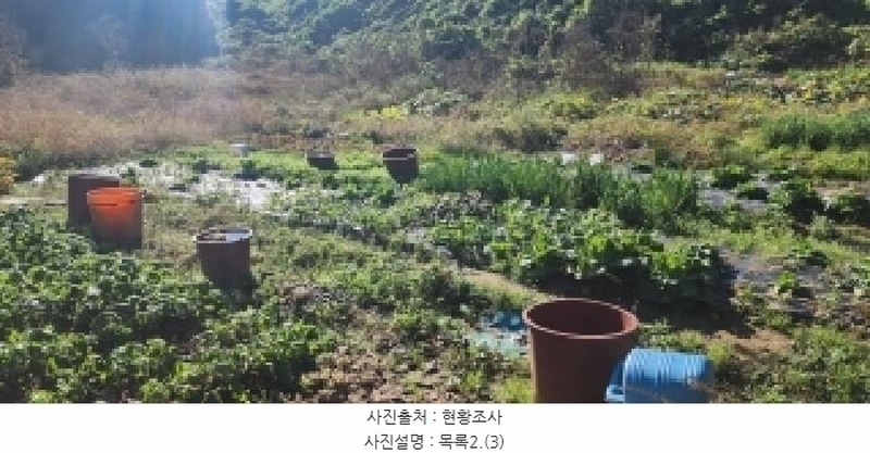 2025타경64266 경기도 파주시 탄현면 법흥리 178-6 농지 경매 이미지