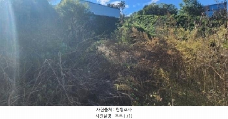 2025타경64266 경기도 파주시 탄현면 법흥리 178-6 농지 경매 이미지