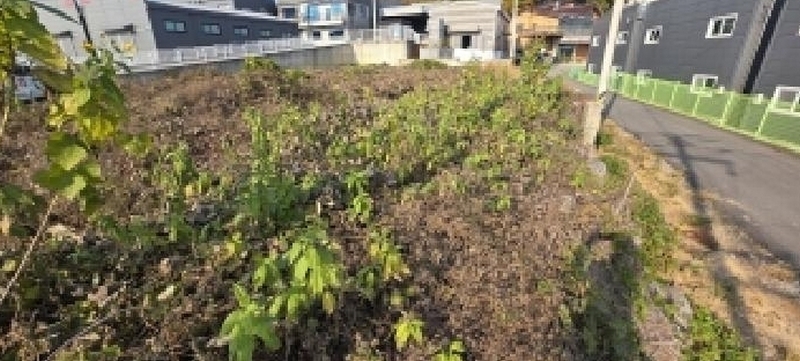 2025타경64556 경기도 파주시 산남동 298-1 임야 경매 이미지