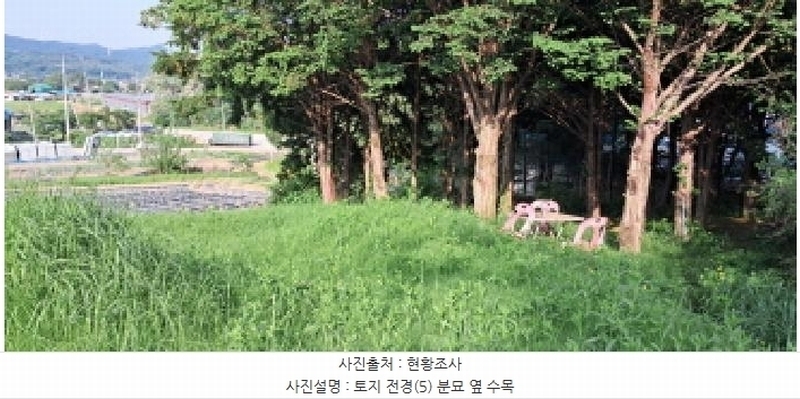 2025타경2138 경기도 파주시 광탄면 창만리 198 농지 경매 이미지