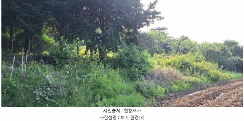 2025타경2138 경기도 파주시 광탄면 창만리 198 농지 경매 이미지