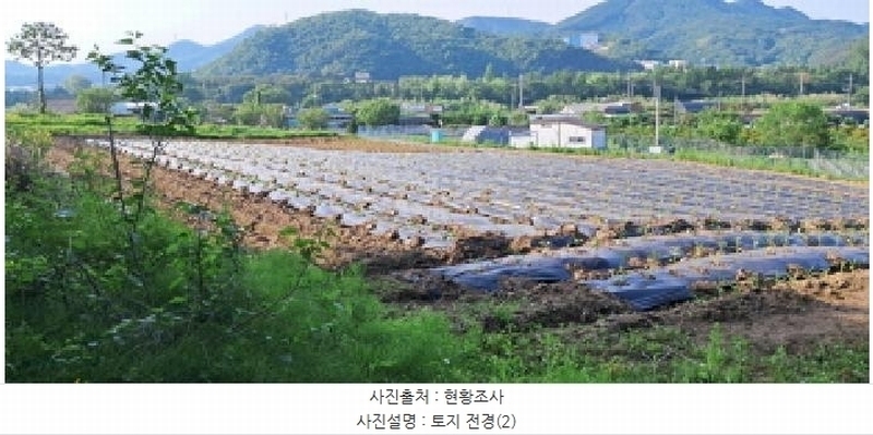 2025타경2138 경기도 파주시 광탄면 창만리 198 농지 경매 이미지