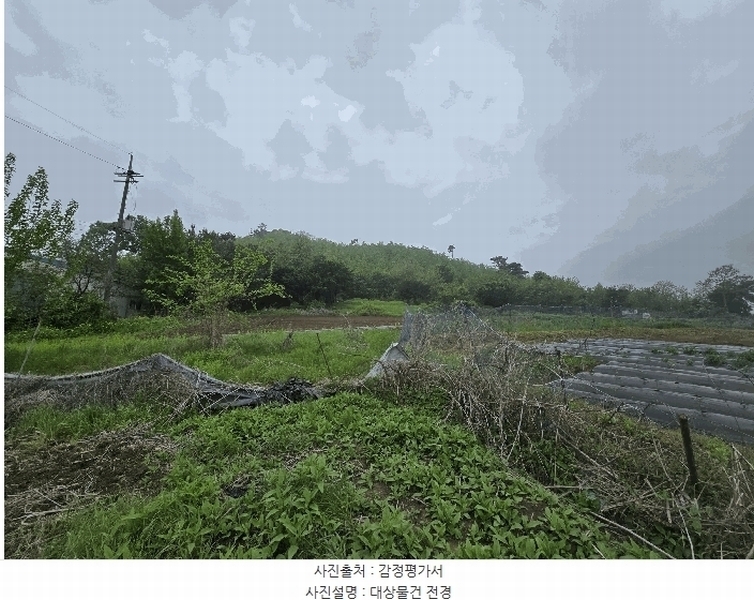 2025타경2138 경기도 파주시 광탄면 창만리 198 농지 경매 이미지