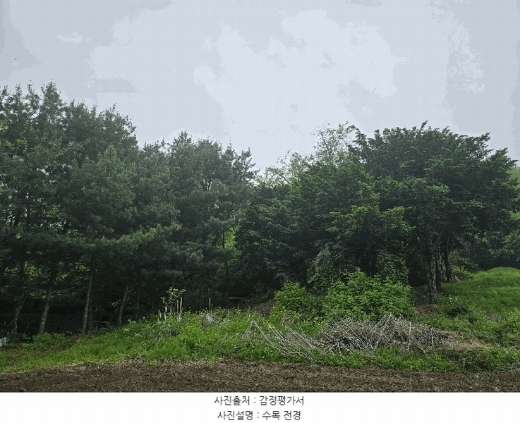 2025타경2138 경기도 파주시 광탄면 창만리 198 농지 경매 이미지