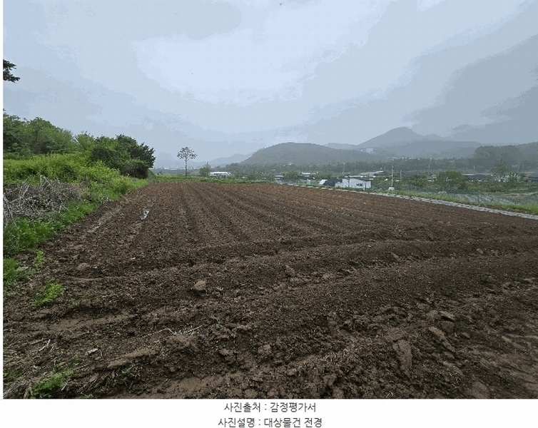 2025타경2138 경기도 파주시 광탄면 창만리 198 농지 경매 이미지