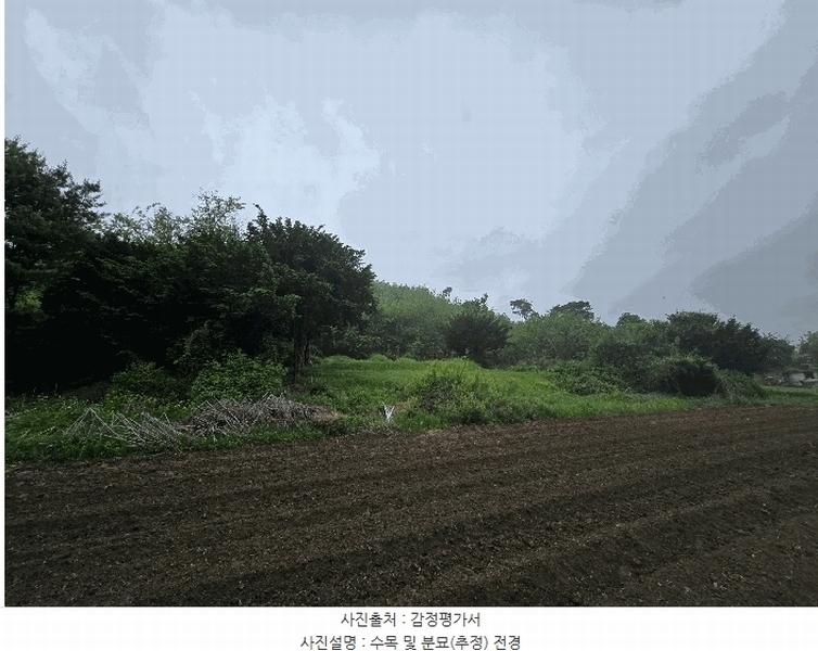 2025타경2138 경기도 파주시 광탄면 창만리 198 농지 경매 이미지